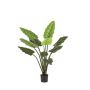Artificial Calathea Rufibarba NUSAKAN, green, 4ft/120cm