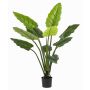 Artificial Calathea Rufibarba NUSAKAN, green, 4ft/120cm