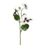 Decorative branch Pansy FREVON, white-violet, 18"/45cm