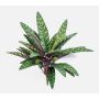Artificial Calathea Makoyana MANAMI on a stem, green-red, 16"/40cm