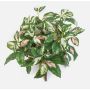 Artificial Hoya carnosa OLEANA plant on a stem, green-white-pink, 16"/40cm