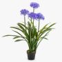 Large artificial Agapanthus LESEDA plant in a decorative pot, blue, 105cm