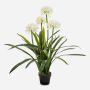 Large artificial Agapanthus LESEDA plant in a decorative pot, white, 105cm