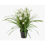Artificial Cymbidium orchid JANILA in decorative pot, white, 33"/85cm
