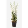 Artificial Dendrobium orchid 'LOFINA' in decorative pot, white, 4ft/130cm