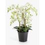 Artificial Phalaenopsis orchid ‘FINEA’ in a decorative pot, cream, 85cm