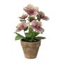 Decorative flower Christmas rose ILLUME, decorative pot, purple-green, 12"/30cm