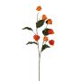 Decorative branch Physalis WONDYL with fruits, orange, 3ft/100cm