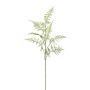 Artificial branch Asparagus Plumosus PLAVIN, green, 33"/85cm
