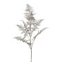 Artificial branch Asparagus Plumosus BLORVI, antique silver, 3ft/90cm