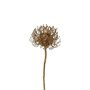 Decorative flower Pincushion protea SONDYL, gold, 20"/50cm