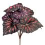 Artificial plant Begonia rex MELDINA, spike, black-red, 10"/25cm