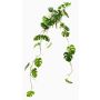 Artificial hanging plant, Philodendron monstera deliciosa 'GRINTO', on a stick, 31"/80cm