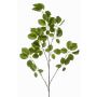 Decorative Schefflera branch KRUVEN, green, 4ft/120cm