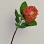 Artificial protea TANJA, red-orange, 26"/65cm