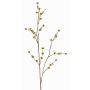 Artificial Stirlingia latifolia COLLAN, yellow-green, 30"/75cm, Ø0.4"/1cm
