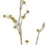 Artificial Stirlingia latifolia COLLAN, green-yellow, 33"/85cm