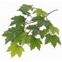 Artificial Maple spray VILGOT, crossdoor, green, 28"/70cm