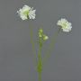 Artificial scabiosa ANDIA, white, 31"/80cm, Ø3.1"-4"/8-10cm