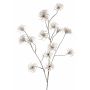 Artificial Clematis seed pod HARWAY, brown, 3ft/105cm