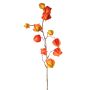 Artificial Physalis spray PERSEI with fruits, orange, 31"/80cm