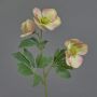 Artificial Christmas rose AKRAB, cream-pink, 18"/45cm, Ø2"-3.1"/5-8cm