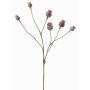 Artificial poppy capsules ASUMAN, brown, 28"/70cm, Ø0.8"-1.2"/2-3cm