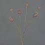 Artificial poppy capsules ASUMAN, brown, 28"/70cm