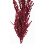 Artificial branch pampas grass panicle THEMBA, burgundy, 4ft/115cm