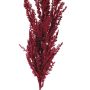 Artificial branch Pampas grass panicle THEMBA, burgundy, 4ft/115cm