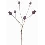Artificial poppy capsules ASUMAN, dark brown, 28"/70cm, Ø0.8"-1.2"/2-3cm