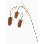 Artificial wild teasel LORCAN, brown-red, 35"/90cm, Ø2.4"-3.1"/6-8cm