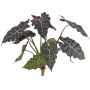 Artificial Alocasia Sanderiana AINARA, green-white, 24"/60 cm