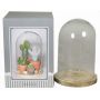 Glass dome SABIKA with marbled wooden base, clear, 6.3"/16cm, Ø4.7"/12cm