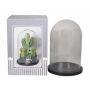 Glass dome SABIKA with black wooden base, clear, 10"/25cm, Ø7"/17,5cm