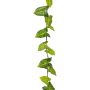 Artificial garland Syngonium OSSIAN, green, 6ft/185cm