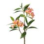 Decorative frangipani branch DRIFEN, yellow-pink, 4ft/110cm