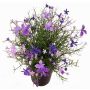 Impatiens decorative flower GISINDA in decorative pot, purple-lilac, 10"/25cm