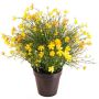 Impatiens decorative plant GISINDA in a decorative pot, yellow-orange, 16"/40cm