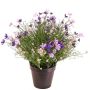 Impatiens decorative plant GISINDA in a decorative pot, purple-lilac, 16"/40cm