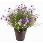 Impatiens decorative plant GISINDA in a decorative pot, purple-lilac, 16"/40cm