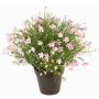 Impatiens decorative plant GISINDA in decorative pot, pink-cream, 16"/40cm