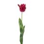 Decorative Parrot tulip LUNIA, hot pink, 70cm
