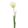 Decorative Parrot tulip LUNIA, white-green, 70cm