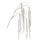 Artificial branch Amaranthus YAELLE with blossoms, hanging, brown, 140cm