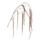 Artificial branch Amaranthus YAELLE with blossoms, hanging, dark red, 140cm