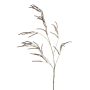 Decorative branch Amaranth CERRO with blossoms, brown, 3ft/100cm