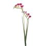 Artificial branch freesia SVERINA, fuchsia, 31"/80cm