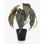 Artificial polka dot begonia ELISEIA, green-white, 12"/30cm