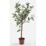 Artificial olive tree ALBERTO, real trunk, with fruits, 26"/65cm
